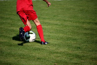 爱游戏-意甲裁判语义分析系统在比赛判罚中的应用研究，意甲第三轮裁判