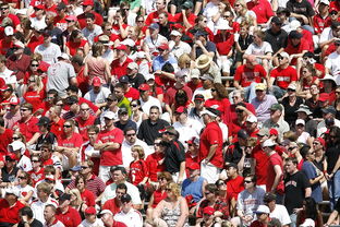 爱游戏官网app-高校体育赛事观众体验提升策略研究，体育赛事审美体验