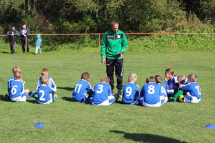 爱游戏平台-五大联赛核心球员缺阵时教练战术应变差异分析，五大联赛主教练工资排名