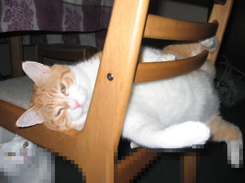 职业联赛战术打法单一影响观赏性,职业联赛都有什么