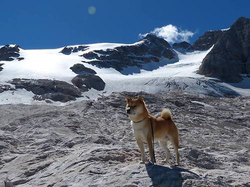 爱游戏app推荐-自由式滑雪国家队跨项选材计划启动，自由式滑雪比赛