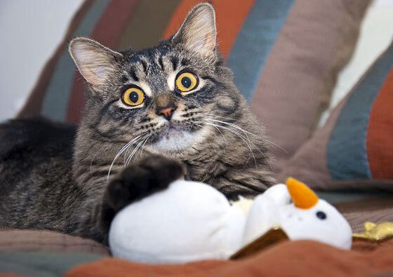 爱游戏体育下载-曼联逆势上升，积分追赶榜首队伍