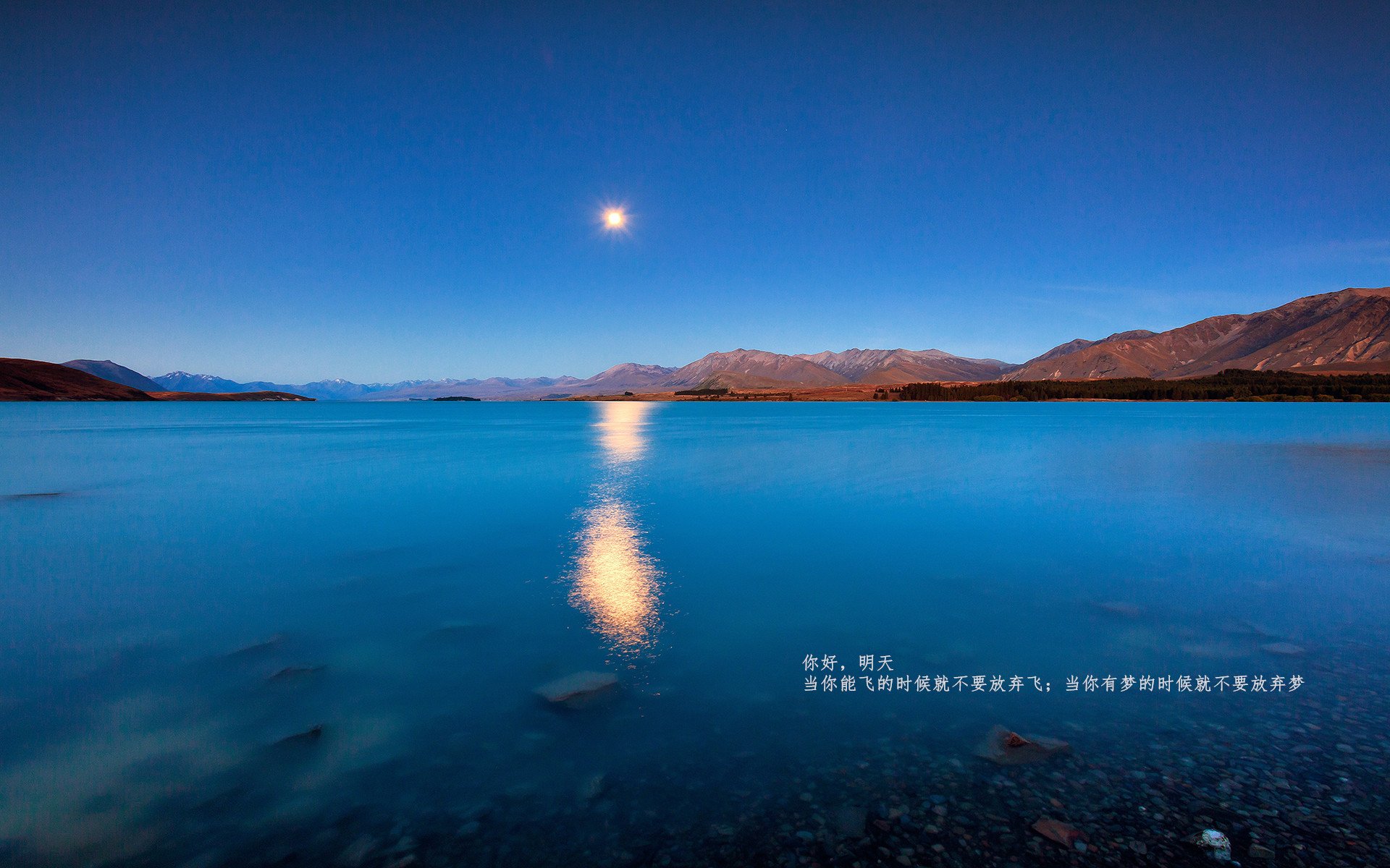 爱游戏官网app-贾瓦迪800米坚持到底 展现体育精神，贾维斯·瓦纳多