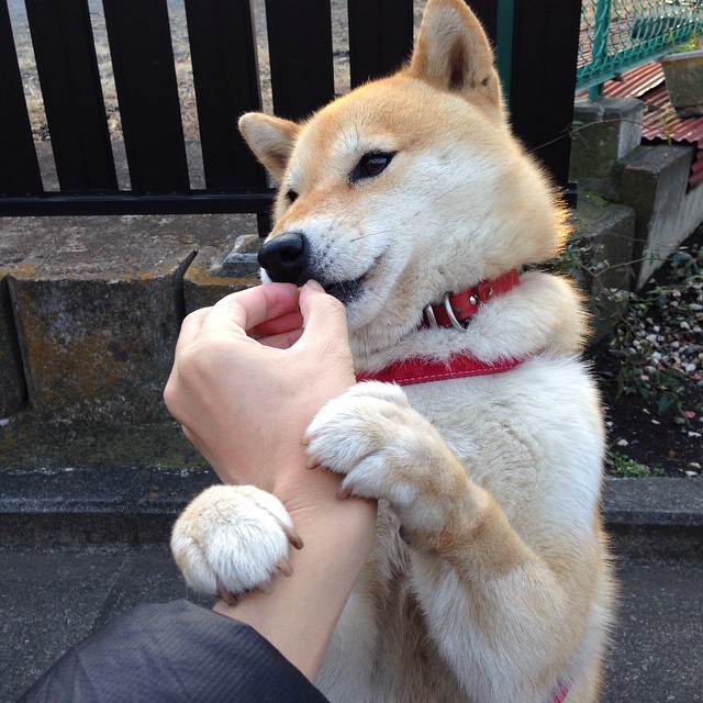 爱游戏体育app-防守协作紧密，限制对手得分，比赛时,防守方球员可以在限制区滞留3秒以上